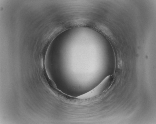 X0000076300021200609291047