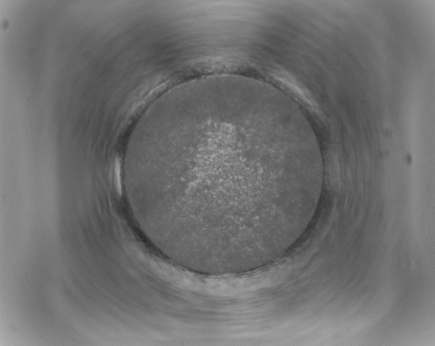 X0000076300022200609291047