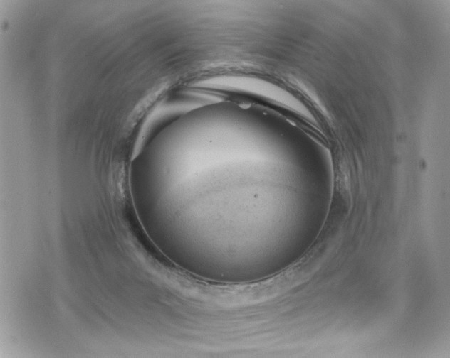 X0000076300023200609291047