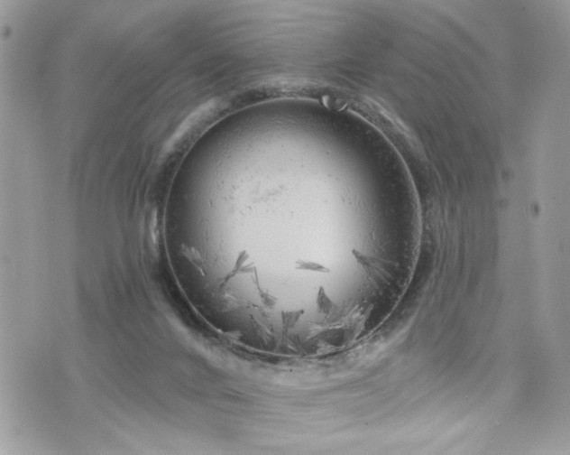 X0000076300024200609291047