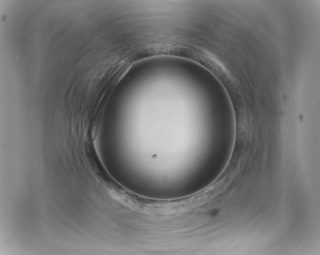 X0000076300025200609291047