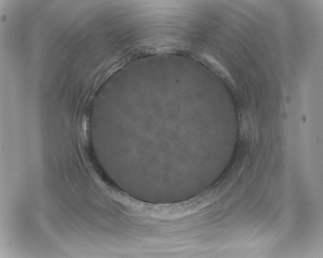 X0000076300026200609291047