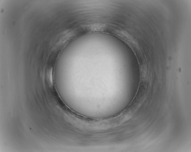 X0000076300028200609291047