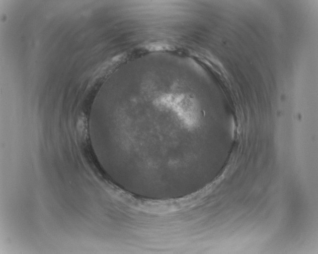 X0000076300029200609291047