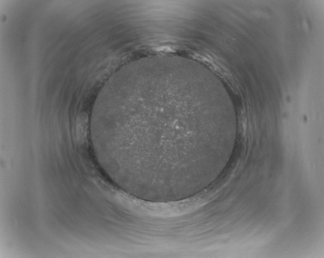 X0000076300030200609291047