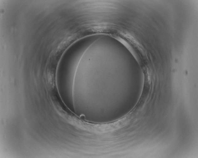 X0000076300031200609291047