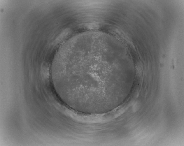 X0000076300032200609291047