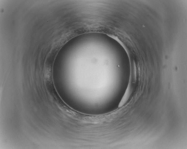 X0000076300033200609291047