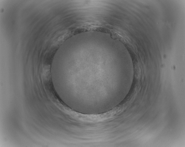 X0000076300034200609291047