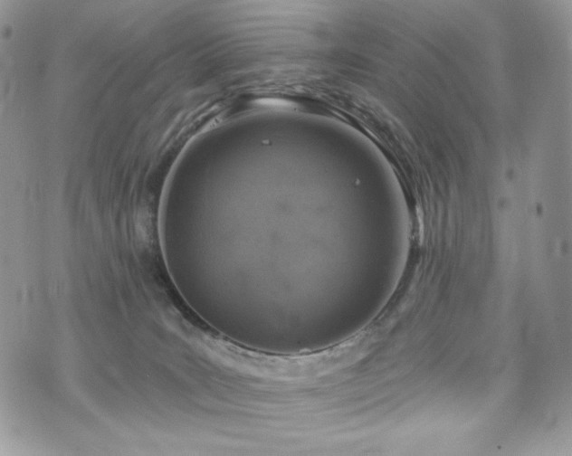 X0000076300035200609291047