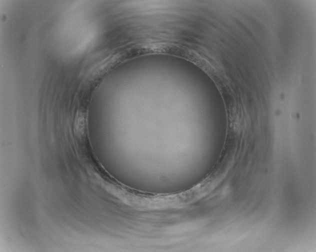 X0000076300036200609291047