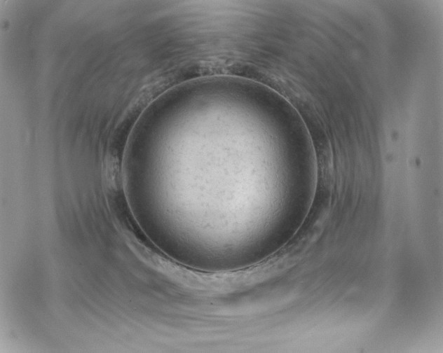 X0000076300038200609291047