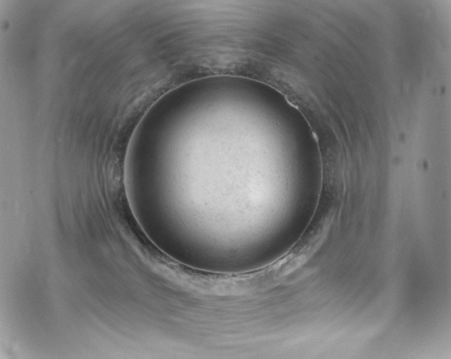 X0000076300040200609291047