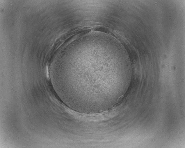 X0000076300042200609291047