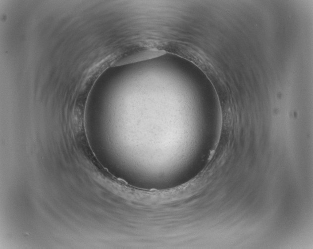 X0000076300043200609291047