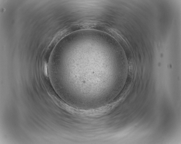 X0000076300046200609291046