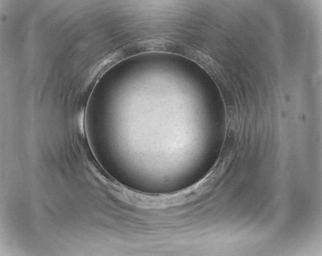 X0000076300047200609291046