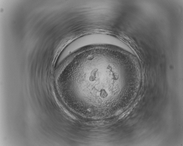 X0000076300049200609291046