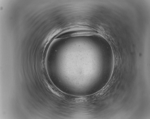 X0000076300050200609291046