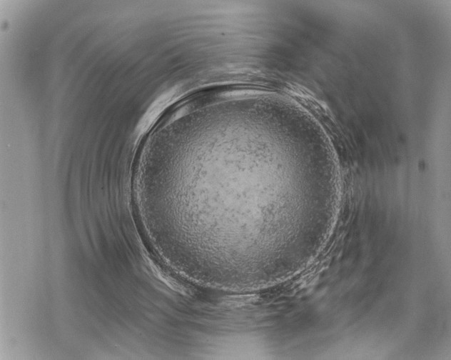 X0000076300051200609291046