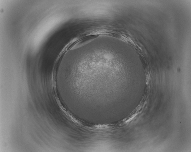 X0000076300052200609291046