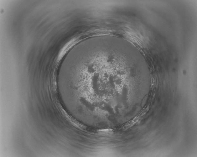 X0000076300053200609291046