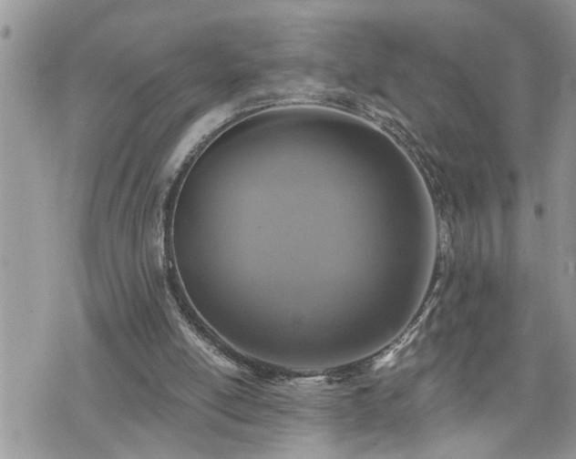 X0000076300054200609291046