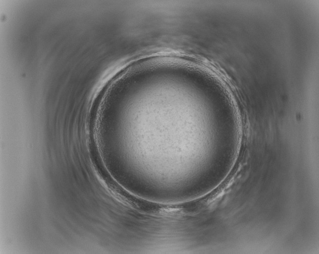 X0000076300055200609291046