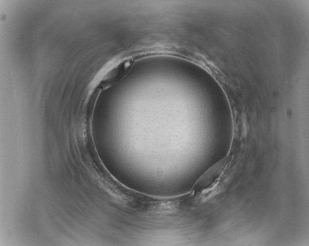 X0000076300056200609291046