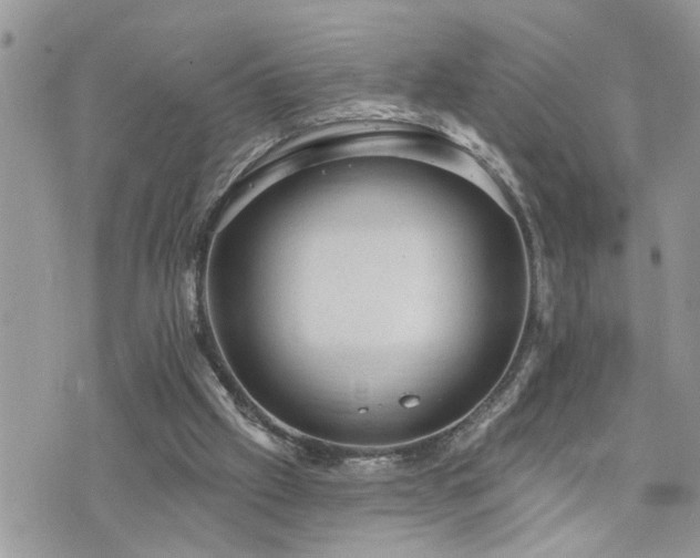 X0000076300057200609291046