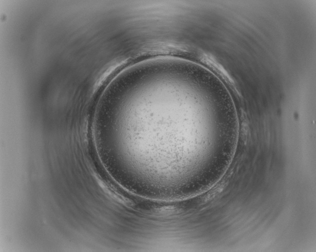 X0000076300058200609291046