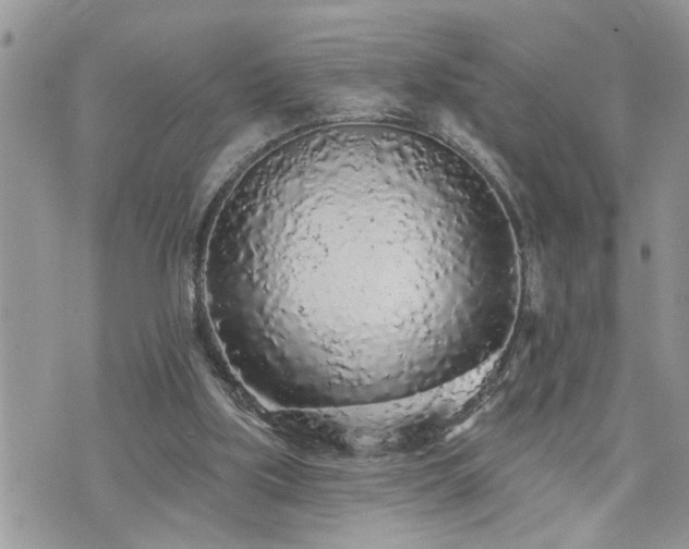 X0000076300059200609291046