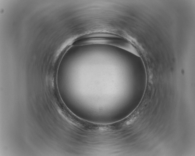 X0000076300060200609291046