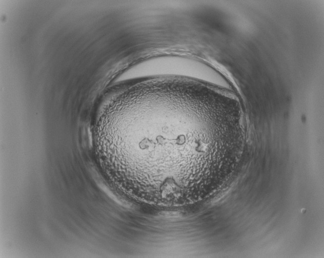 X0000076300061200609291046