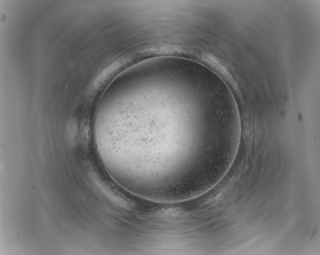 X0000076300063200609291046