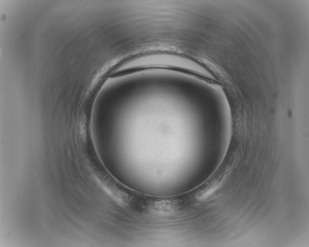 X0000076300064200609291046