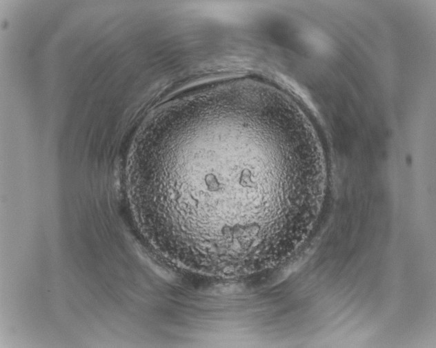 X0000076300065200609291046