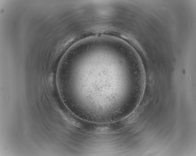 X0000076300066200609291046