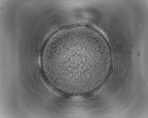 X0000076300067200609291046