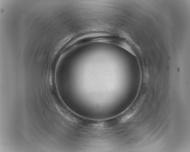 X0000076300068200609291046