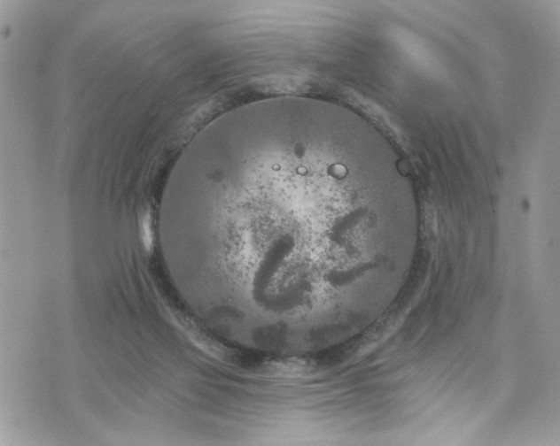 X0000076300069200609291046