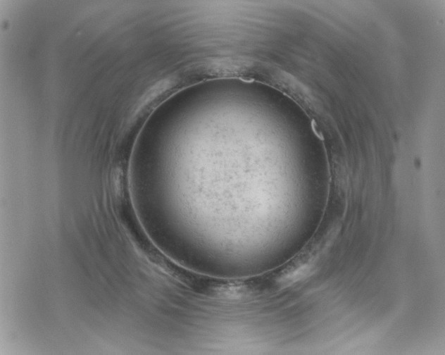 X0000076300071200609291046