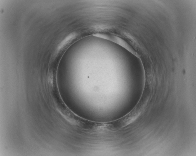 X0000076300072200609291046