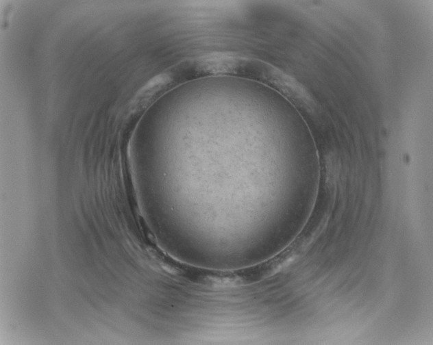 X0000076300073200609291046