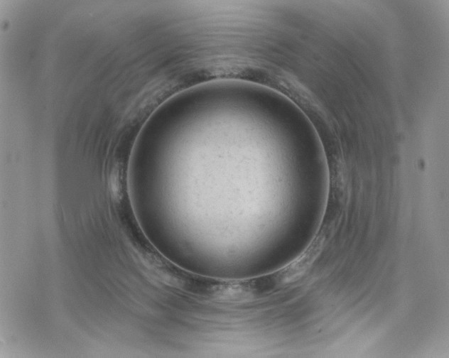 X0000076300074200609291046