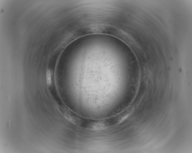 X0000076300075200609291046