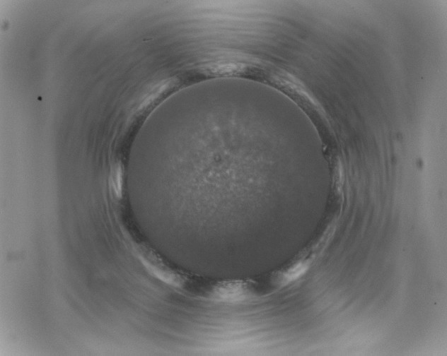 X0000076300076200609291046