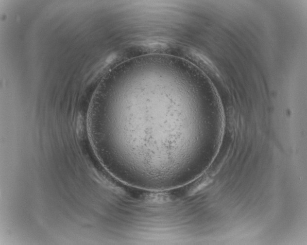 X0000076300077200609291046