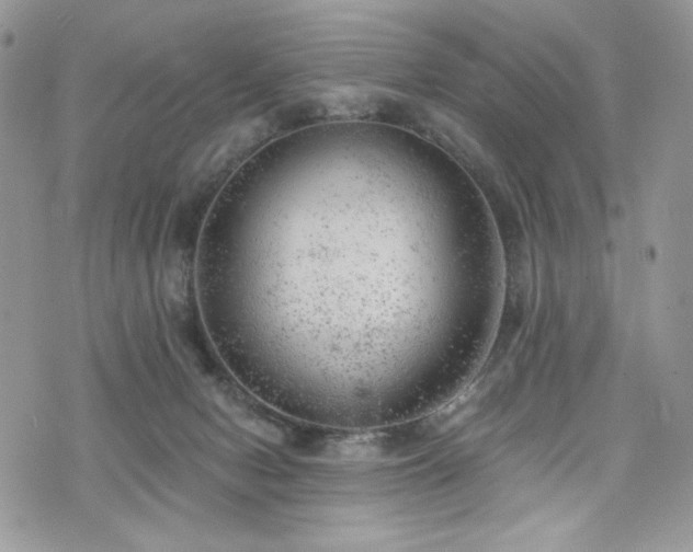 X0000076300078200609291046