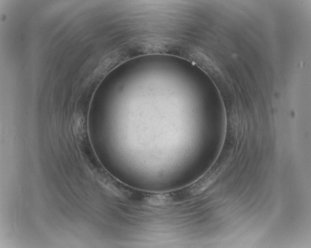 X0000076300079200609291046